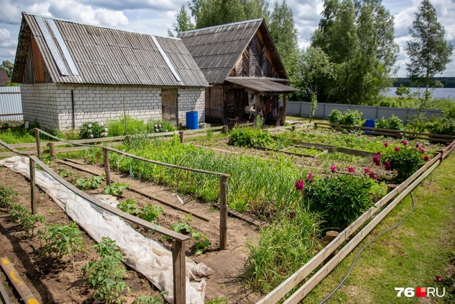 В Сургуте начался дачный сезон | Источник: Кирилл Поверинов / 76.RU