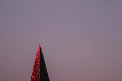 В Томске на зажжение ели ожидают 2,5 тысячи горожан