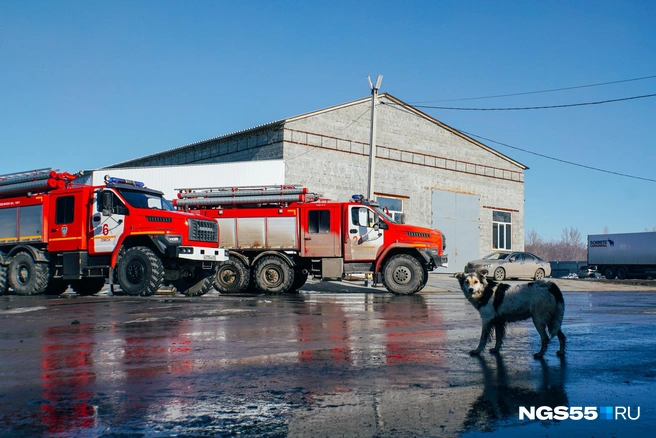 Первыми на место разлива солярки приехали сотрудники МЧС. Они залили пеной место ЧП | Источник: Елена Латыпова / NGS55.RU
