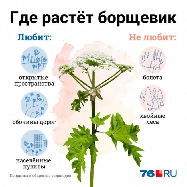 Источник: Полина Авдошина / Городские медиа
