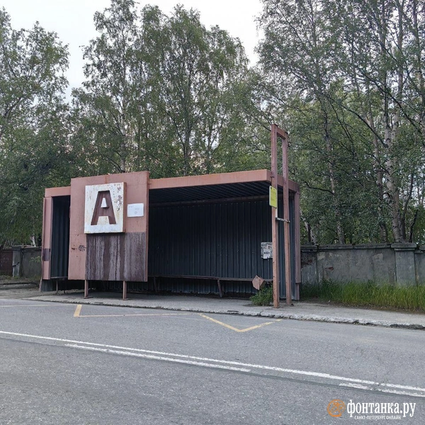 очень необычные автобусные остановки надо искать на улице Кирова | Источник: Ксения Потеева / «Фонтанка.ру»
