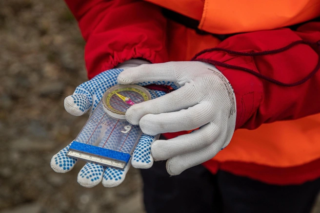 В лес обязательно возьмите с собой компас | Источник: Александр Ощепков / NGS.RU