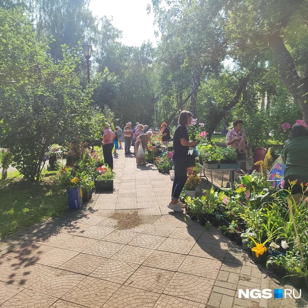 К 10:00 утра дачники уже были на выставке | Источник: Александра Бруня / NGS.RU