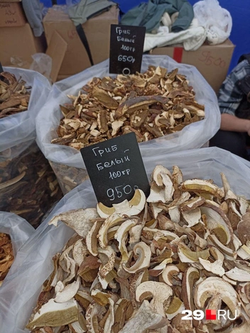 Источник: Иван Митюшёв / 29.RU