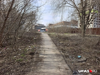 А вот она поближе | Источник: Булат Салихов / UFA1.RU