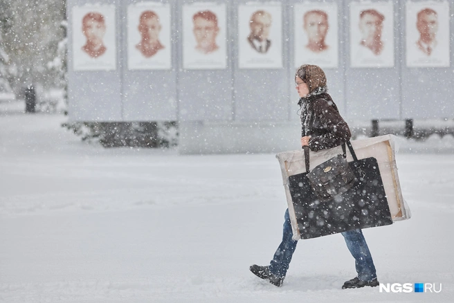 На смену снегу придет морозная ясная погода | Источник: Александр Ощепков / NGS.RU