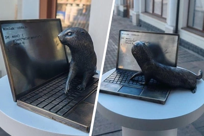 В Красноярске появился суслик-программист