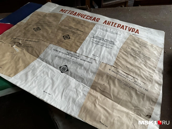 Источник: Алина Мельникова / MSK1.RU