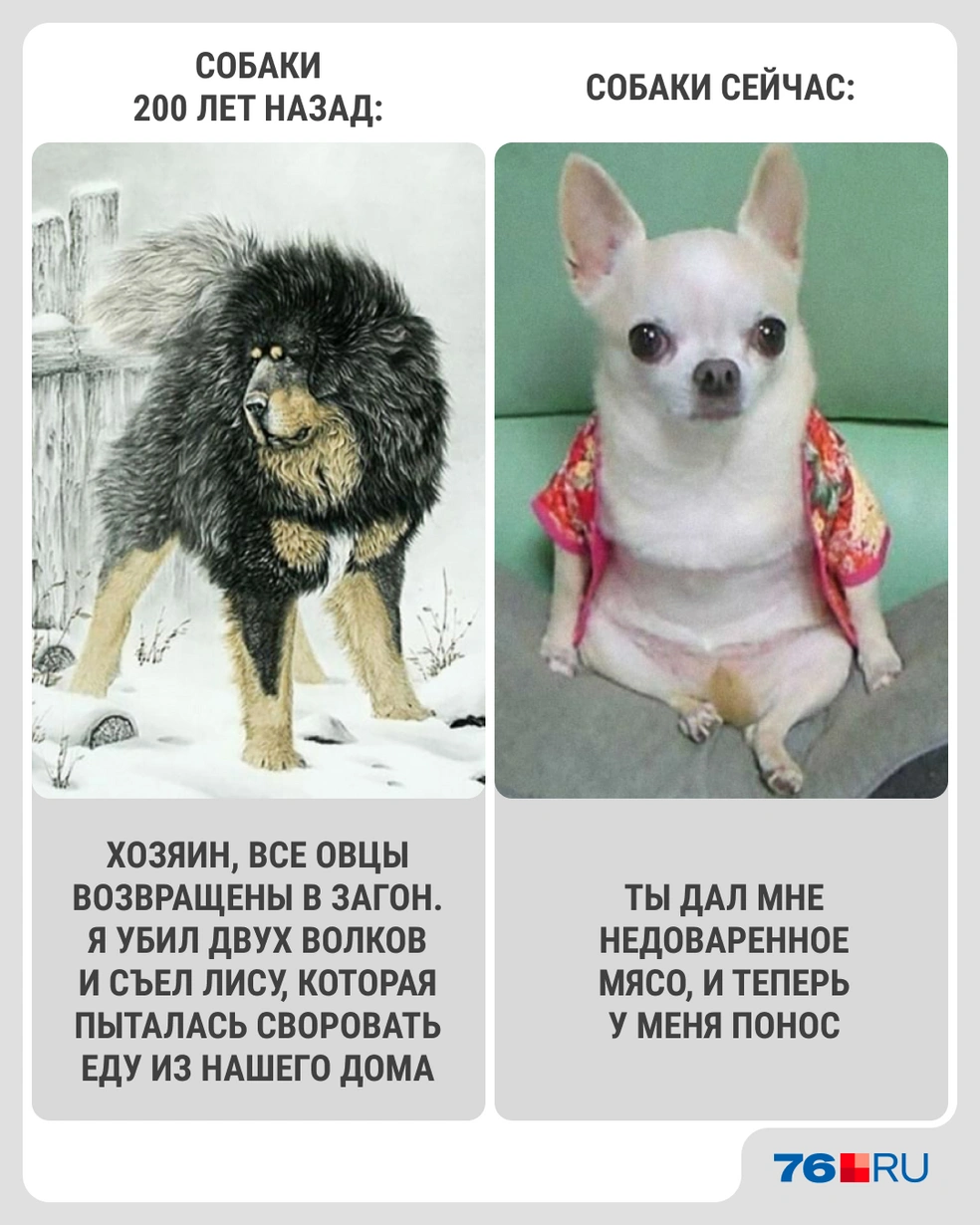 Признавайтесь, было? | Источник: Городские медиа