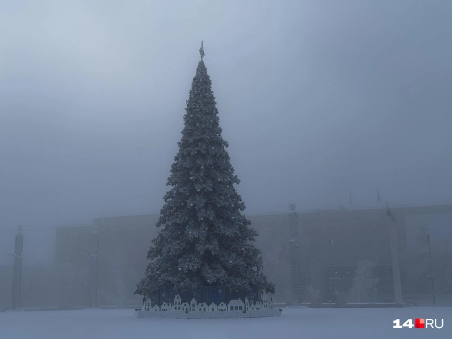 Вечером елка красивее | Источник: Ольга Донская / 14.RU