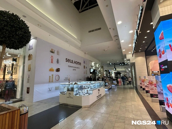 Магазин товаров для дома от бренда Sela откроется на месте магазина с одеждой той же фирмы | Источник: Дмитрий Мамаев / NGS24.RU