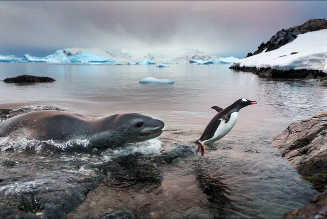 Источник: Paul Souders / bigpicturecompetition.org