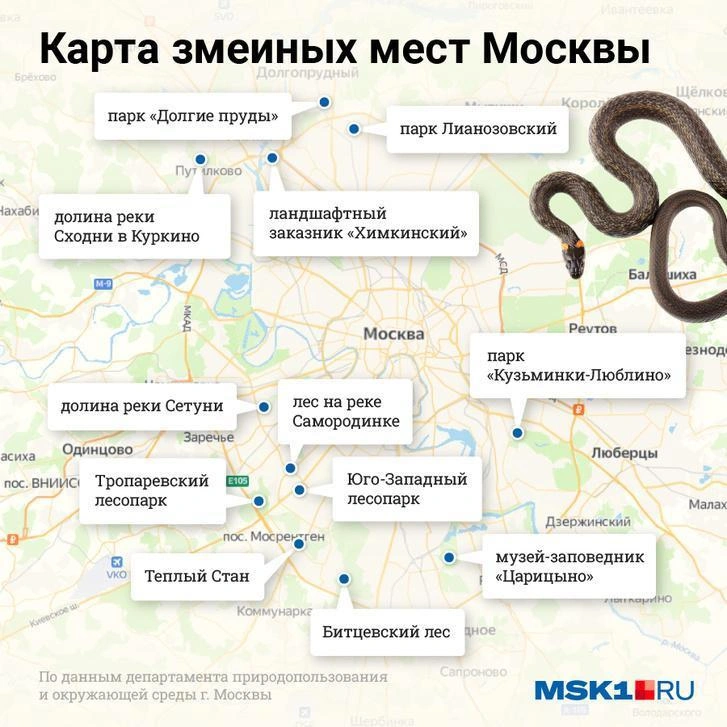 Источник: Евгения Бикунова / Городские медиа
