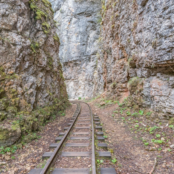Источник: Locomotive74 via Shutterstock/Fotodom.ru