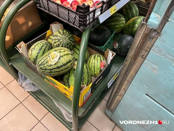 Источник: Мария Мишукова / Voronezh1.ru