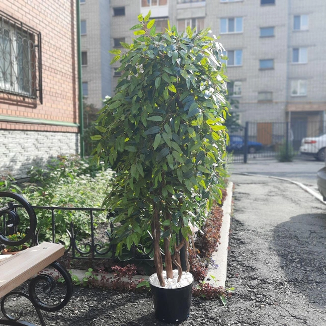 Искусственное дерево может украсить любой двор | Источник: Из архива Анастасии Губановой