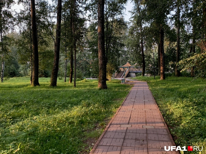 Медведей встречено не было