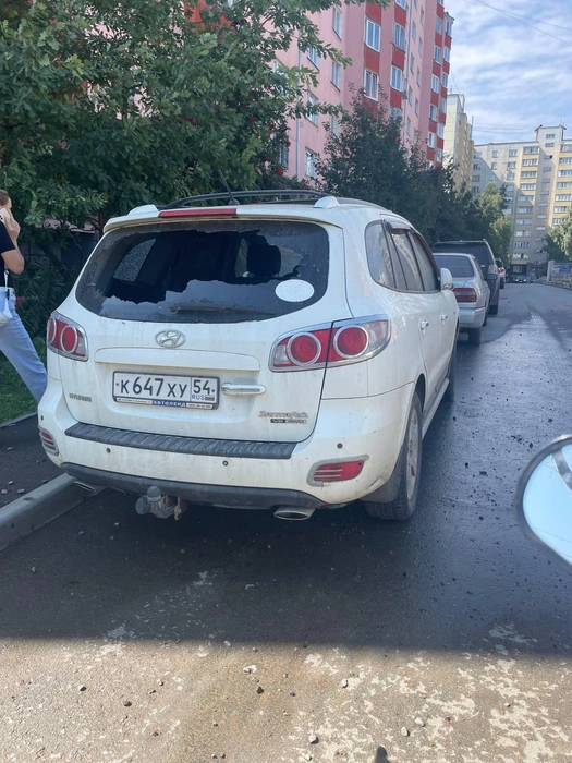 Источник: читатель НГС