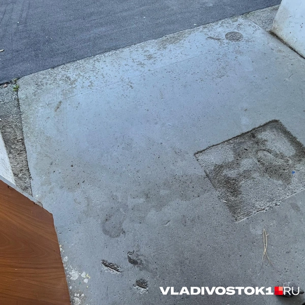 Источник: Елена Буйвол / VLADIVOSTOK1.RU