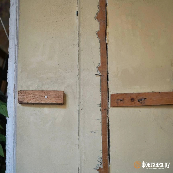 Источник: Павел Даиси / «Фонтанка.ру»