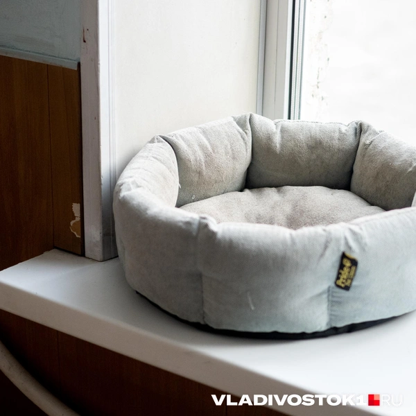 Источник: Елена Буйвол / VLADIVOSTOK1.RU