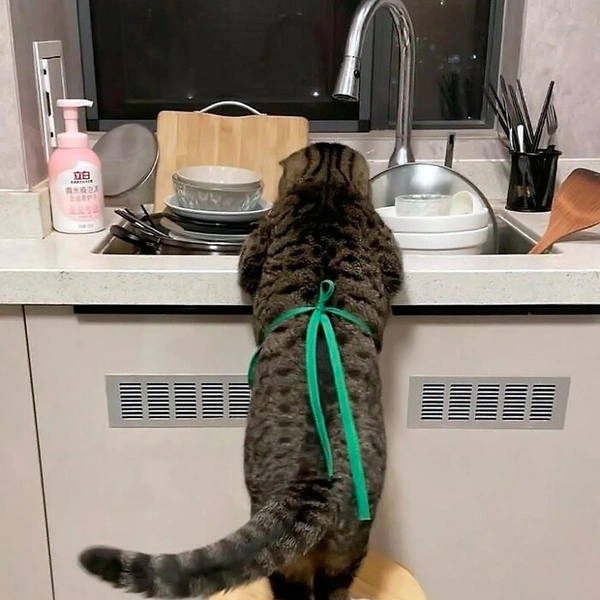 Источник: соцсети