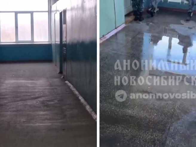Подтверждён факт протечки потолочной конструкции | Источник: Предоставлено НГС, «Анонимный Новосибирск» / Telegram
