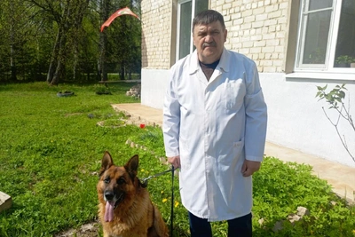 Ветеринар из Островского района стал заслуженным