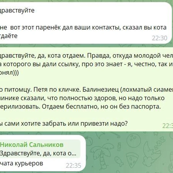 И помог неожиданно именно чат курьеров | Источник: Скрин с переписок корреспондента 56.RU