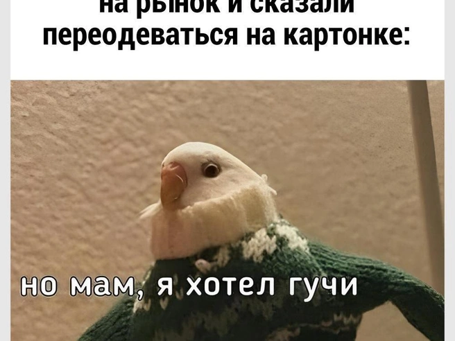 Там тоже есть, 100% | Источник: Городские медиа