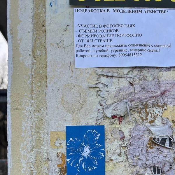 Источник: мелиса и тату / telegram.org