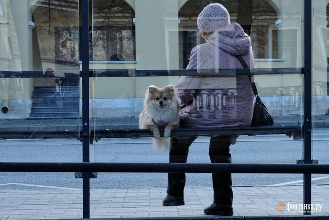 Финт весны. В Ленобласти возможен снег, в Карелии — ледяной дождь | Источник: Михаил Огнев / «Фонтанка.ру»
