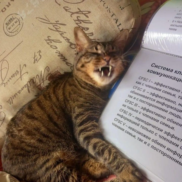 Источник: Валентина