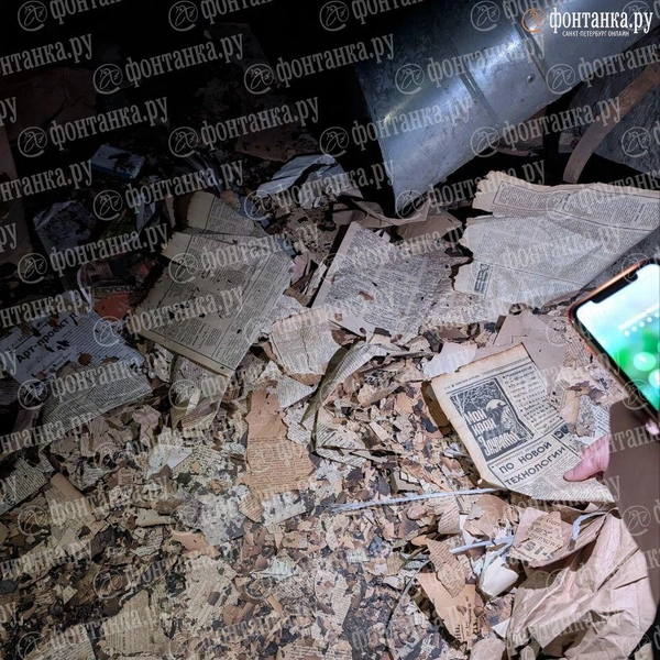 Источник: Федор Данилов / «Фонтанка.ру»