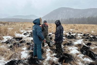 Работник нацпарка спровоцировал два пожара в Забайкалье