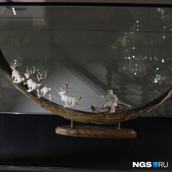 Экспонаты рассказывают о жизни в тундре | Источник: Маргарита Резникова / NGS.RU