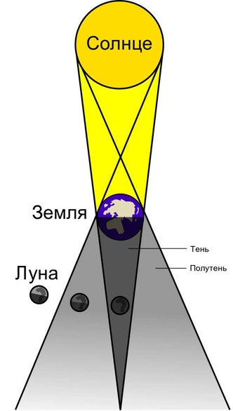 Источник: Wikimedia Commons