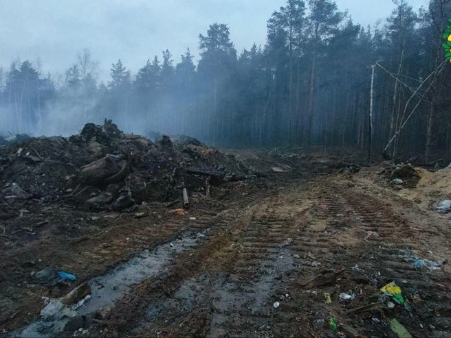 В настоящее время рядом с тлеющей свалкой продолжают дежурить сотрудники. | Источник: Минлесхоз по Нижегородской области