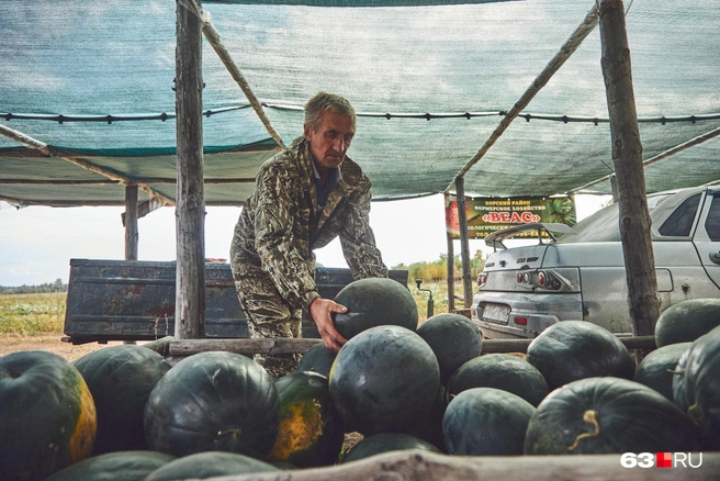 Торговая площадь выглядит так: деревянные ящики, в которых лежат арбузы, навесы из брезента, небольшая «парковка» для разгрузки и место продавца | Источник: Роман Данилкин / 63.RU