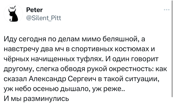 Шутки вторника и «смешнота носков»