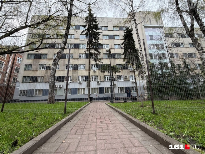 Источник: Евгений Вдовин / 161.RU