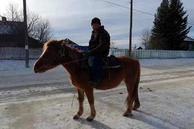 Лошадь на площади в Чите сбила двух детей