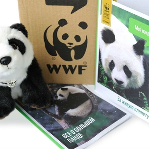 12 июля пройдет благотворительный Бал на траве