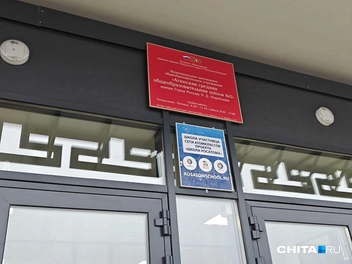 Источник: Тамара Ван-Фу-Ли / CHITA.RU