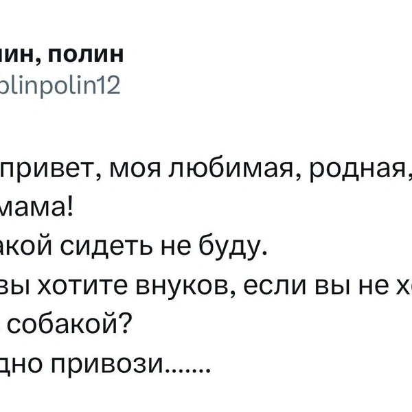 Источник:  X (Twitter)