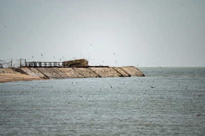 Три вида моллюсков вселились в Таганрогский залив