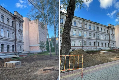 Вырубка деревьев у ТПУ на Усова для памятника Николаю II