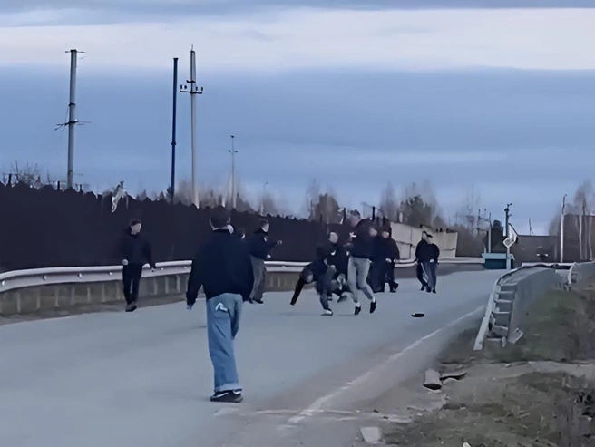 Видео драки: участники из двух соседних поселков | Источник: читатель E1.RU