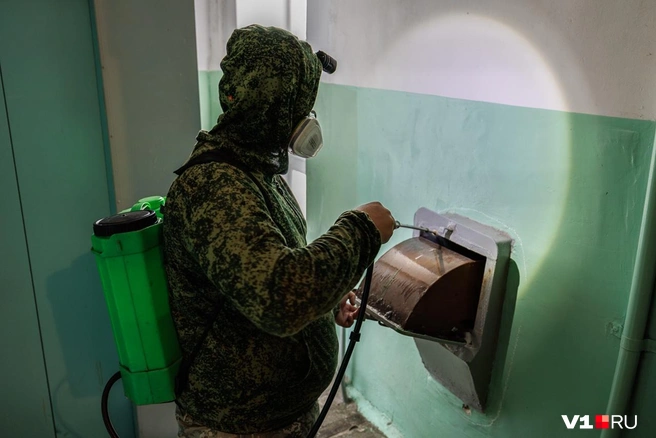 Мусоропровод становится главным источником шестиногих вредителей | Источник: Алексей Волхонский / V1.RU
