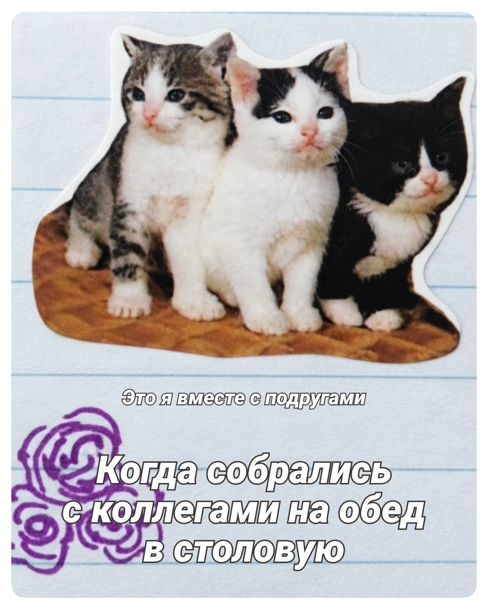 Обед с коллегами — всегда приятное дело | Источник: Полина Авдошина / Городские медиа